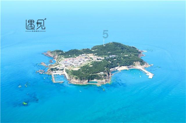 生石花开花后什么时候还会再开-专业蜗牛问答平台